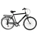 Wheelerz Herenfiets 6 Versnellingen zwart 28 inch